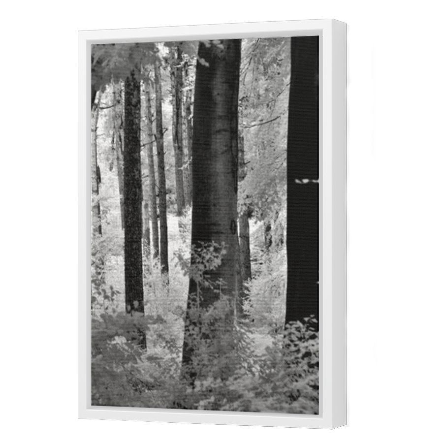 Thumbnail for Canvas - White Floating Frame