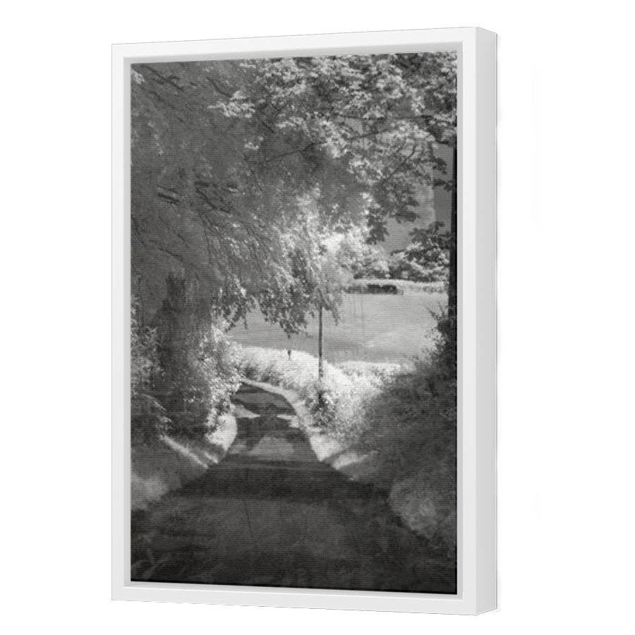 Thumbnail for Canvas - White Floating Frame