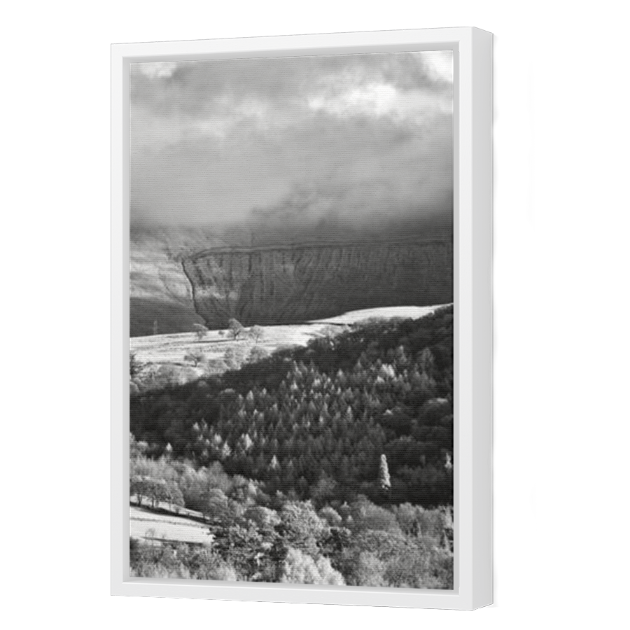 Thumbnail for Canvas - White Floating Frame