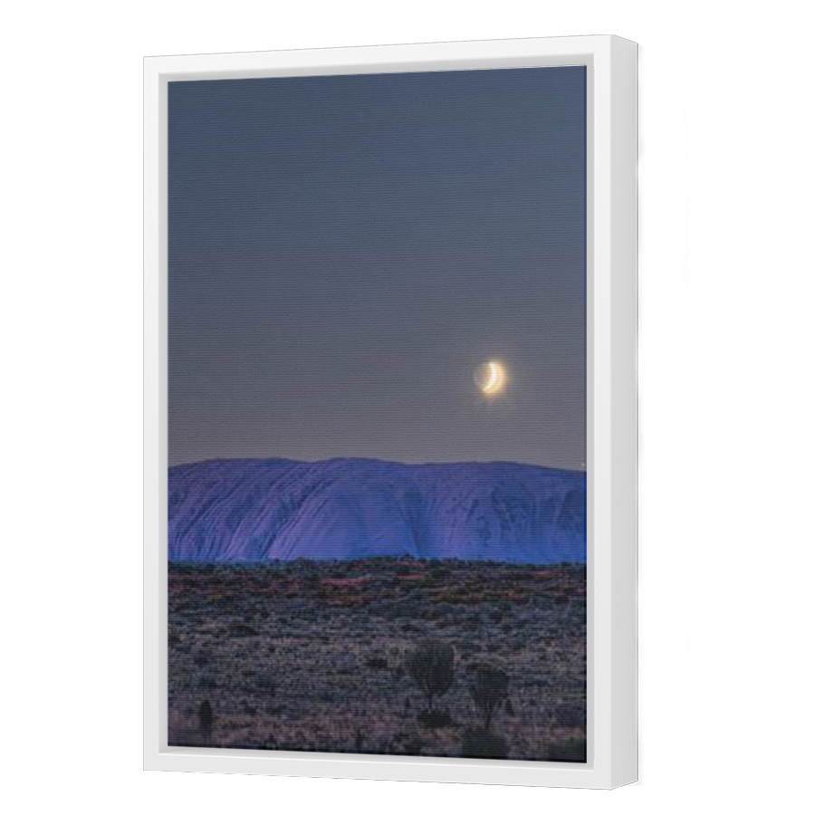 Thumbnail for Canvas - White Floating Frame