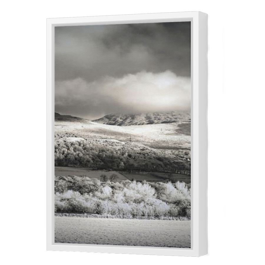 Thumbnail for Canvas - White Floating Frame