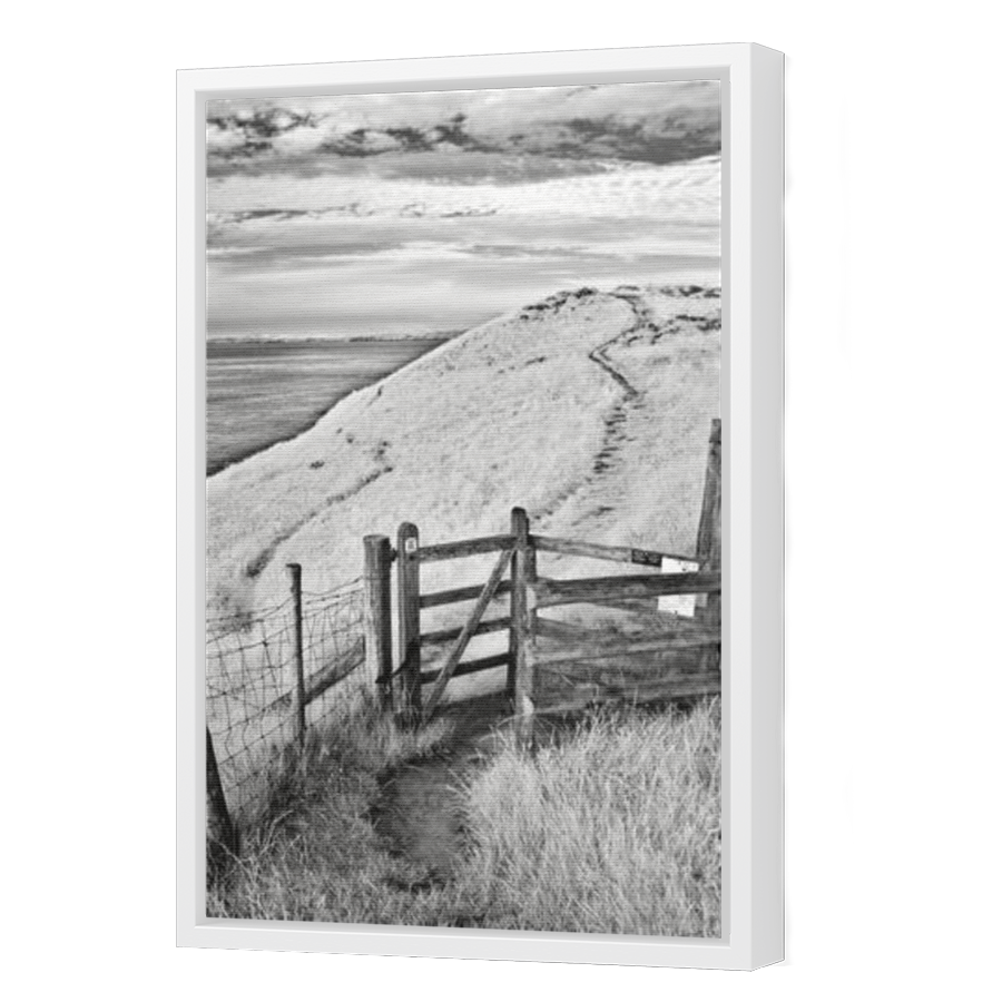 Thumbnail for Canvas - White Floating Frame