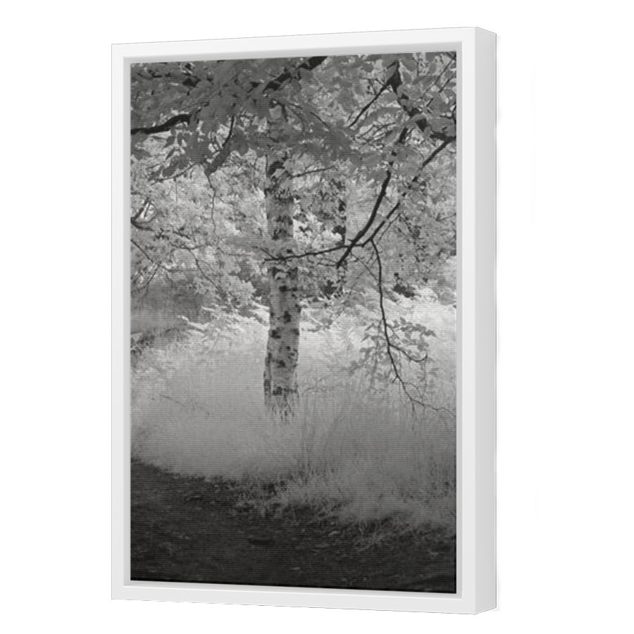 Thumbnail for Canvas - White Floating Frame
