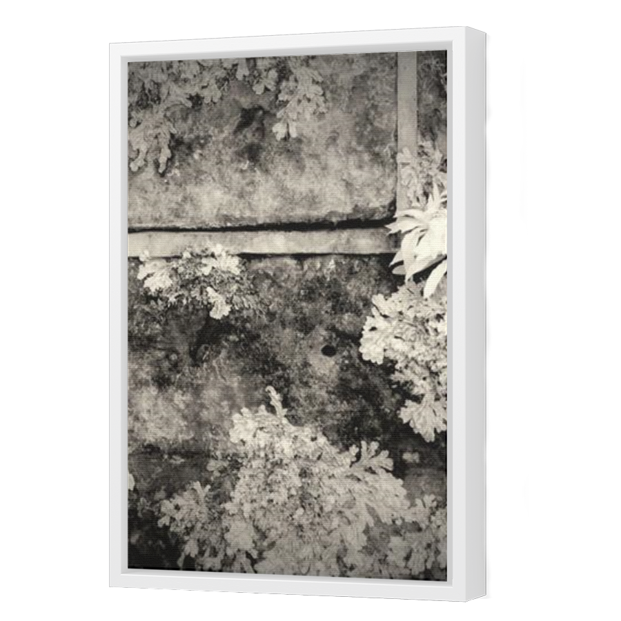 Thumbnail for Canvas - White Floating Frame