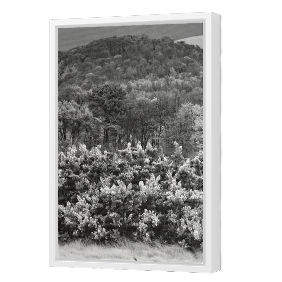 Thumbnail for Canvas - White Floating Frame