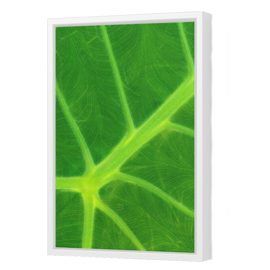 Thumbnail for Canvas - White Floating Frame