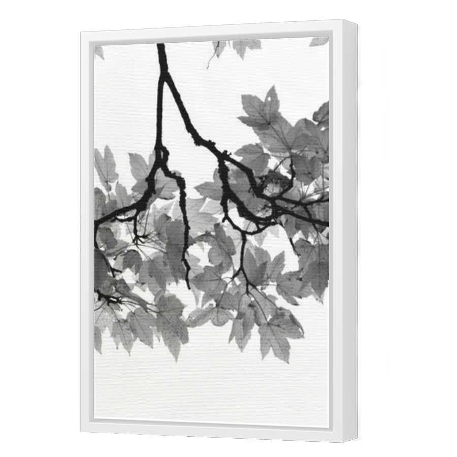 Thumbnail for Canvas - White Floating Frame