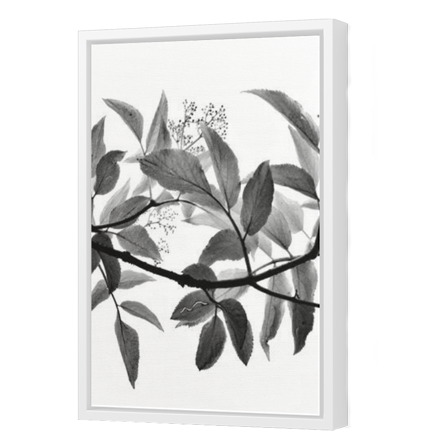 Thumbnail for Canvas - White Floating Frame