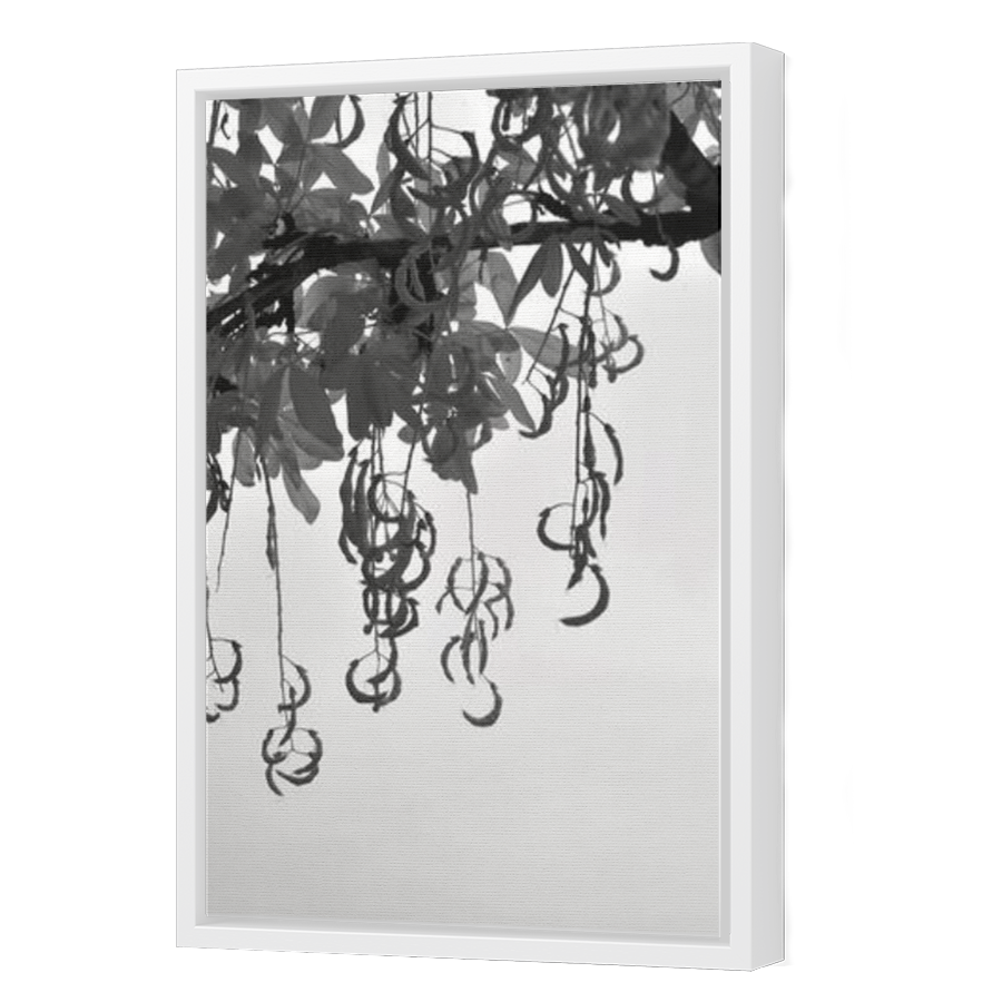 Thumbnail for Canvas - White Floating Frame