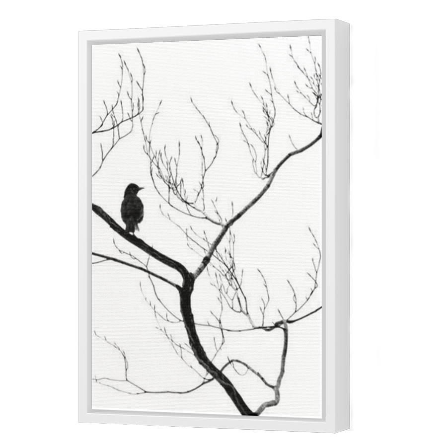 Thumbnail for Canvas - White Floating Frame