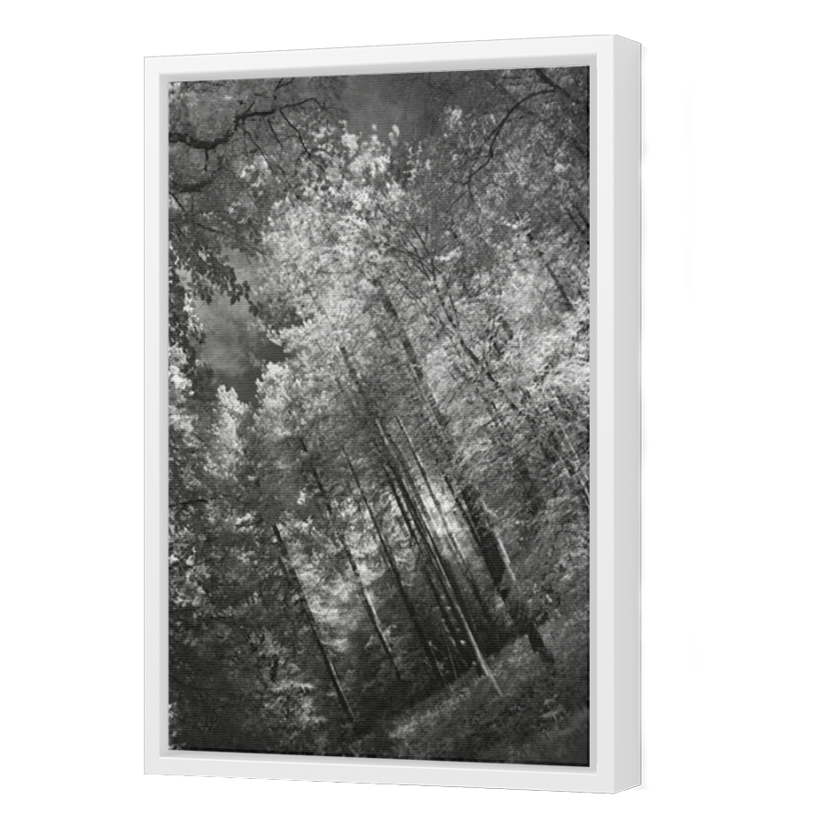 Thumbnail for Canvas - White Floating Frame