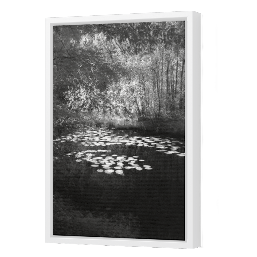 Thumbnail for Canvas - White Floating Frame