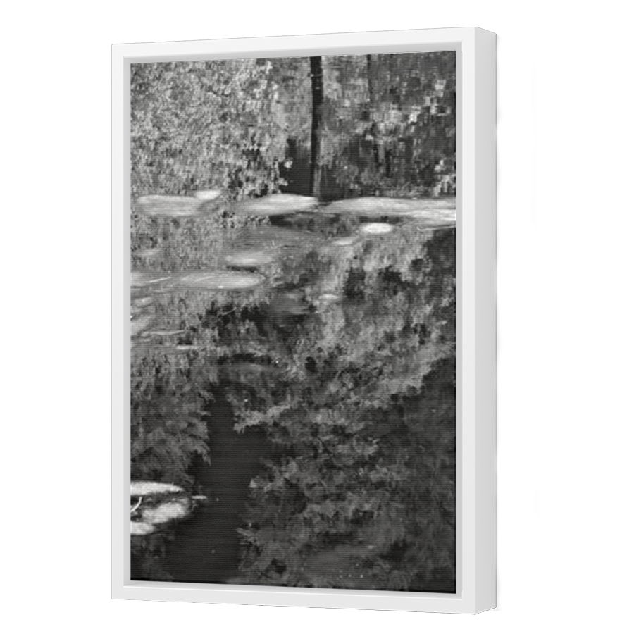 Thumbnail for Canvas - White Floating Frame