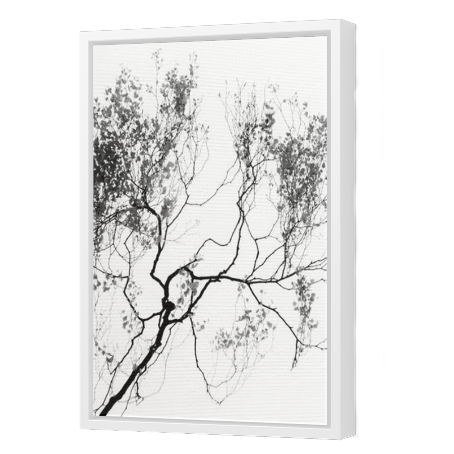 Thumbnail for Canvas - White Floating Frame