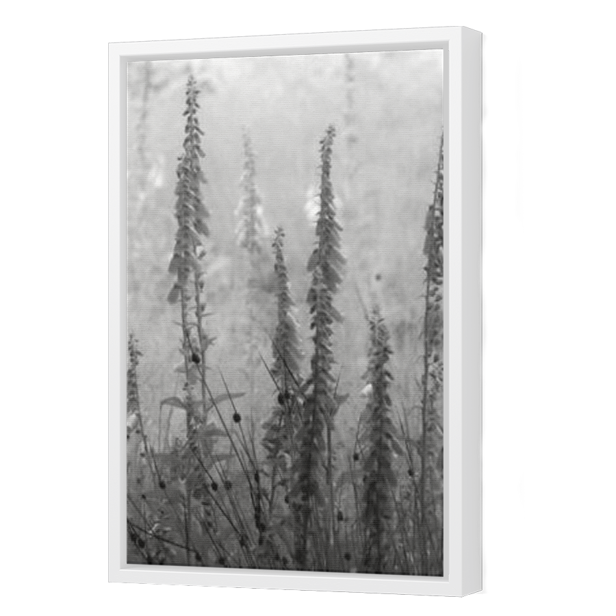 Thumbnail for Canvas - White Floating Frame