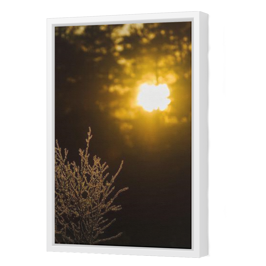 Thumbnail for Canvas - White Floating Frame