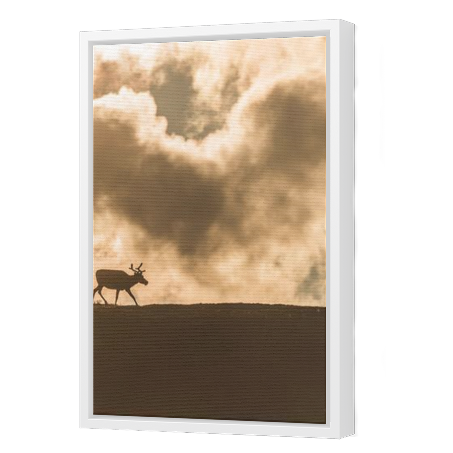 Thumbnail for Canvas - White Floating Frame