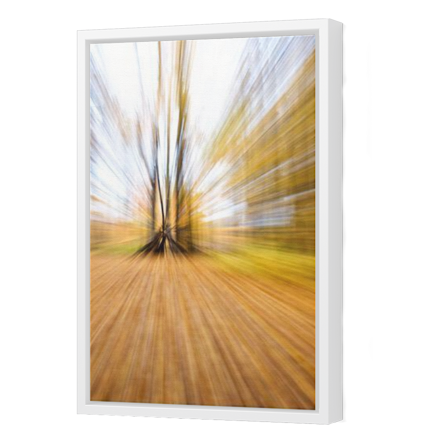 Thumbnail for Canvas - White Floating Frame