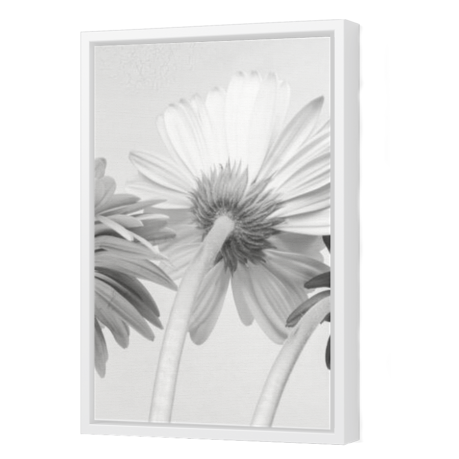 Thumbnail for Canvas - White Floating Frame