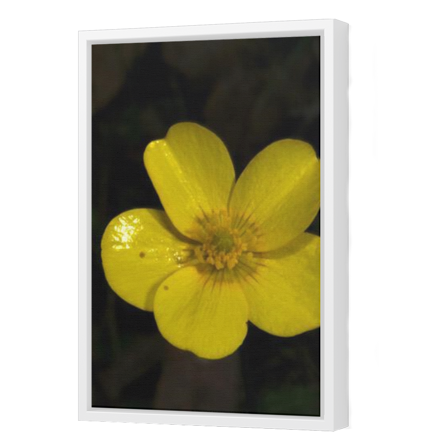 Thumbnail for Canvas - White Floating Frame