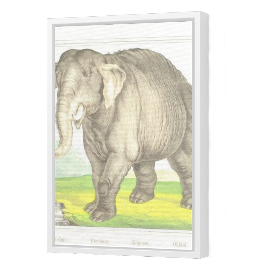 Thumbnail for Canvas - White Floating Frame