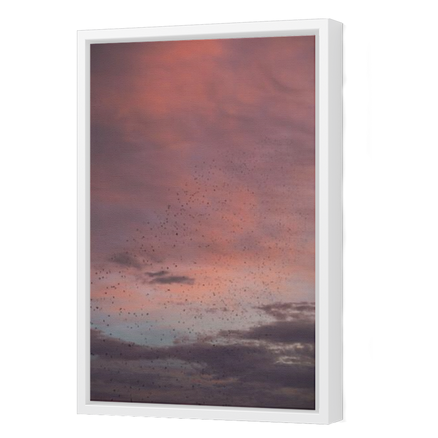 Thumbnail for Canvas - White Floating Frame