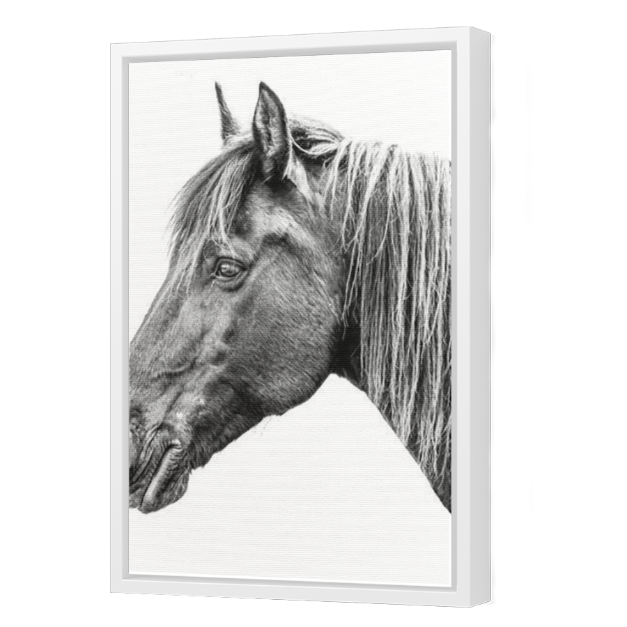 Thumbnail for Canvas - White Floating Frame
