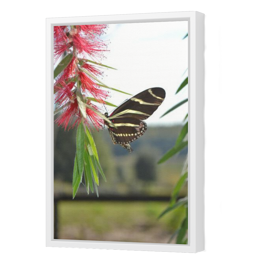 Thumbnail for Canvas - White Floating Frame