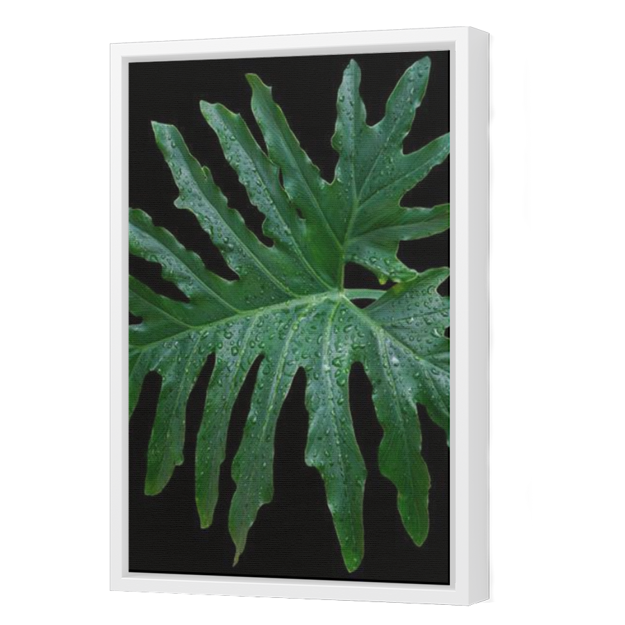 Thumbnail for Canvas - White Floating Frame