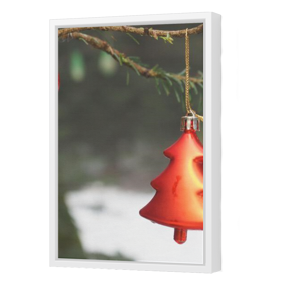 Thumbnail for Canvas - White Floating Frame