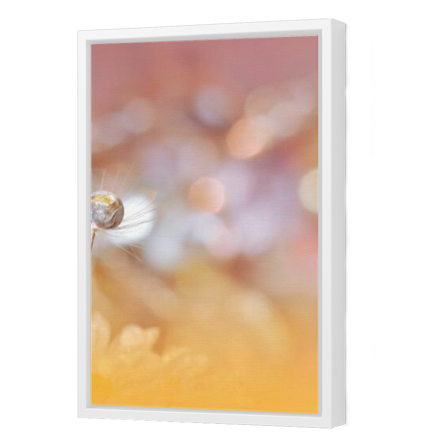 Thumbnail for Canvas - White Floating Frame