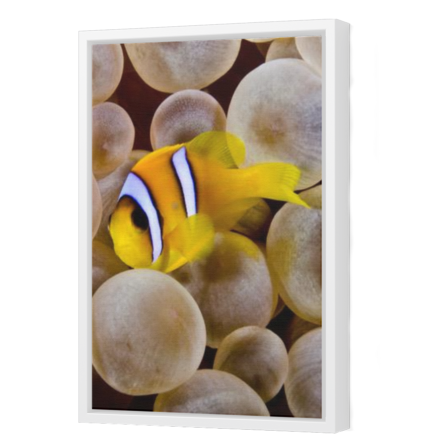 Thumbnail for Canvas - White Floating Frame