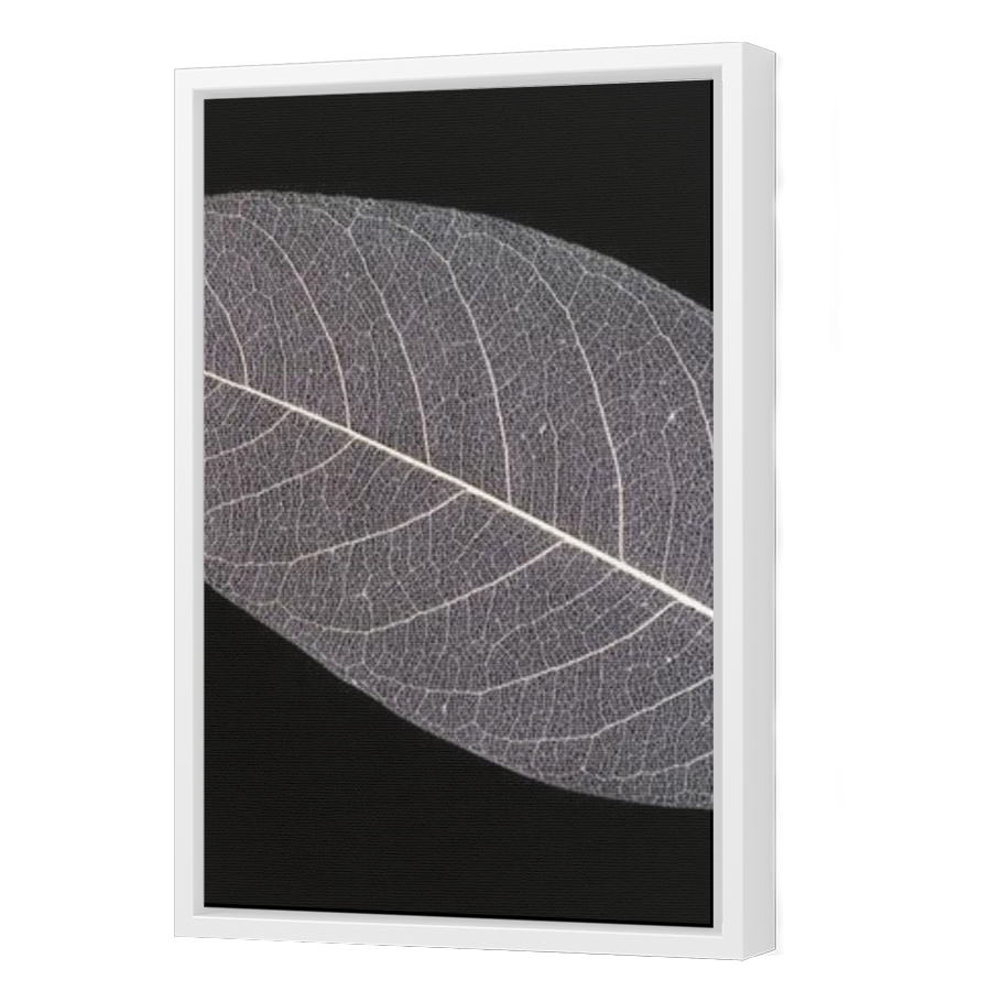 Thumbnail for Canvas - White Floating Frame