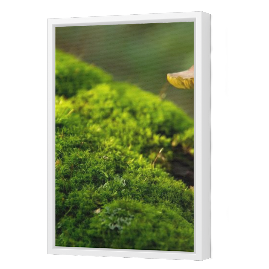Thumbnail for Canvas - White Floating Frame