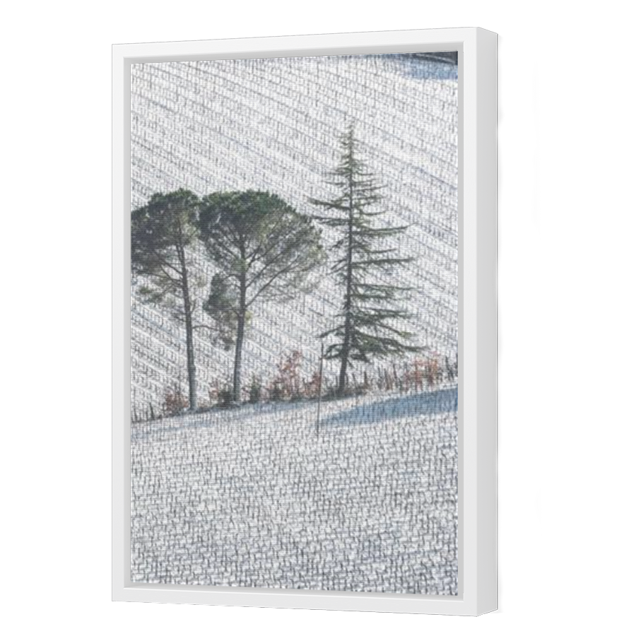 Thumbnail for Canvas - White Floating Frame