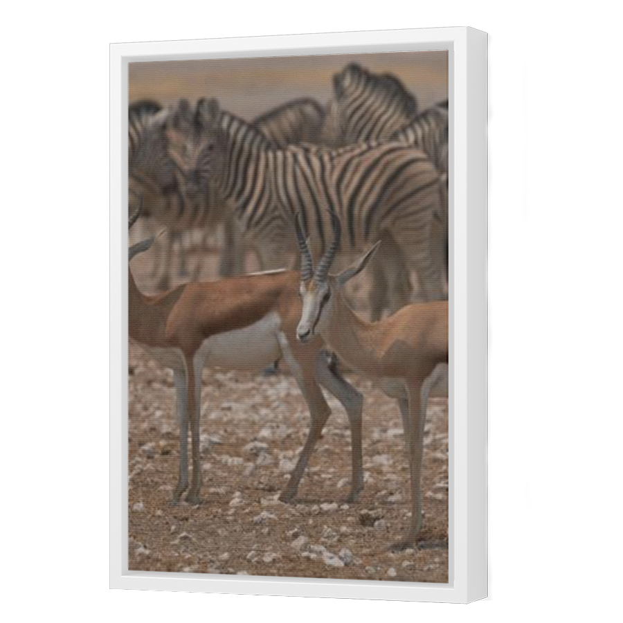 Thumbnail for Canvas - White Floating Frame