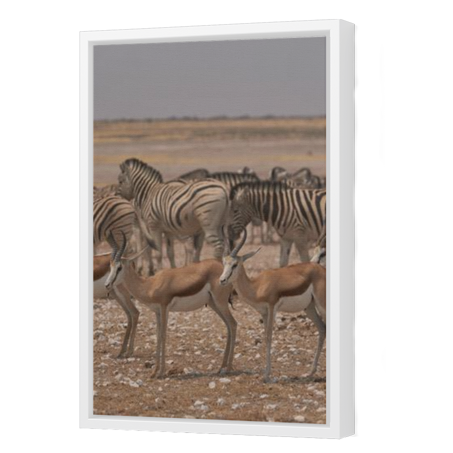 Thumbnail for Canvas - White Floating Frame