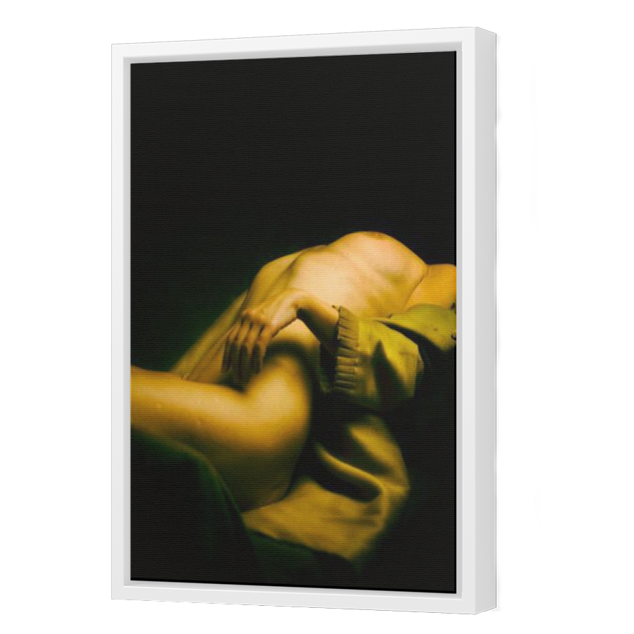 Thumbnail for Canvas - White Floating Frame