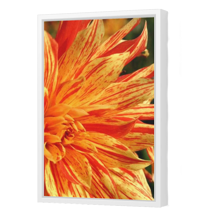 Thumbnail for Canvas - White Floating Frame