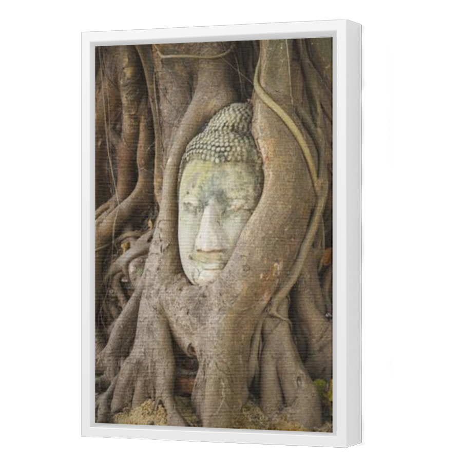 Thumbnail for Canvas - White Floating Frame