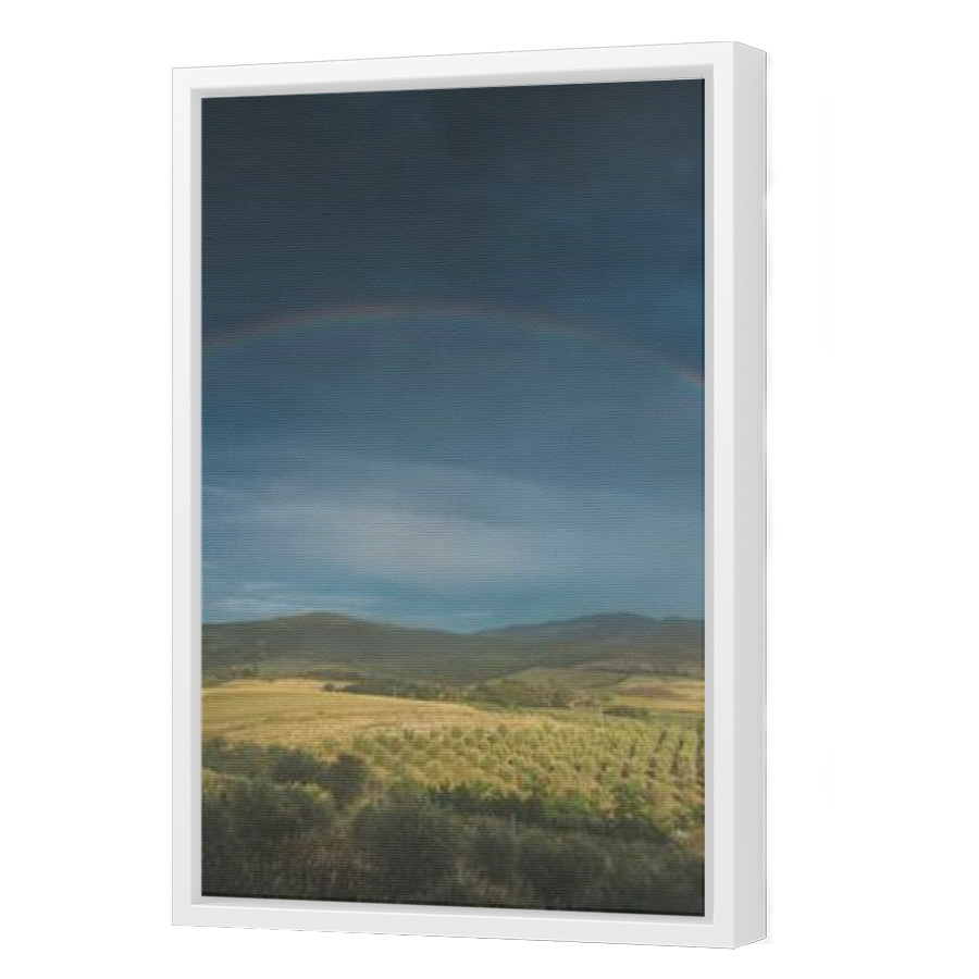 Thumbnail for Canvas - White Floating Frame