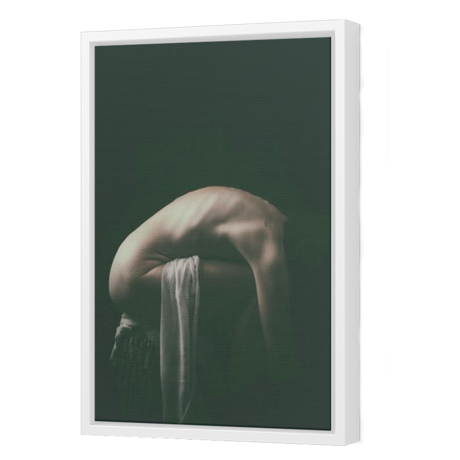 Thumbnail for Canvas - White Floating Frame