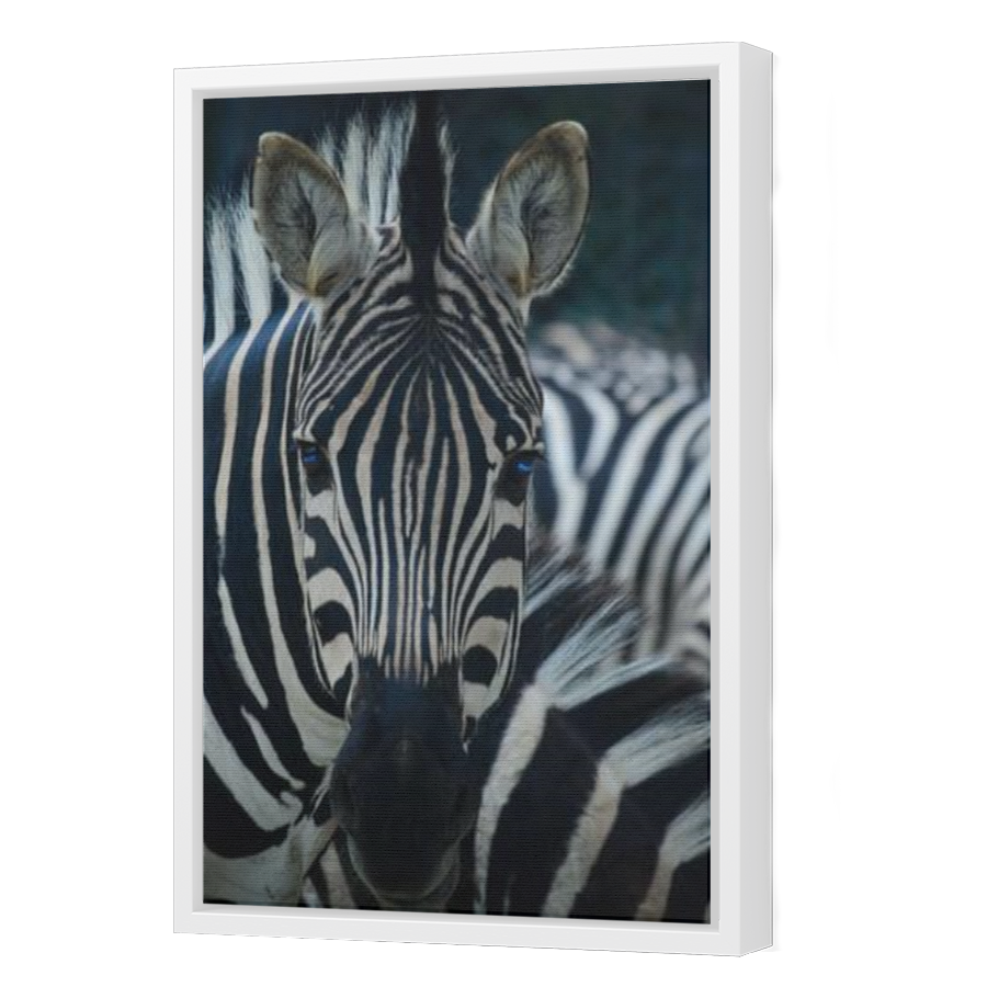 Thumbnail for Canvas - White Floating Frame