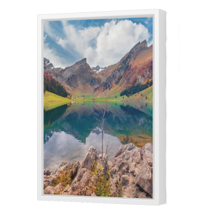 Thumbnail for Canvas - White Floating Frame