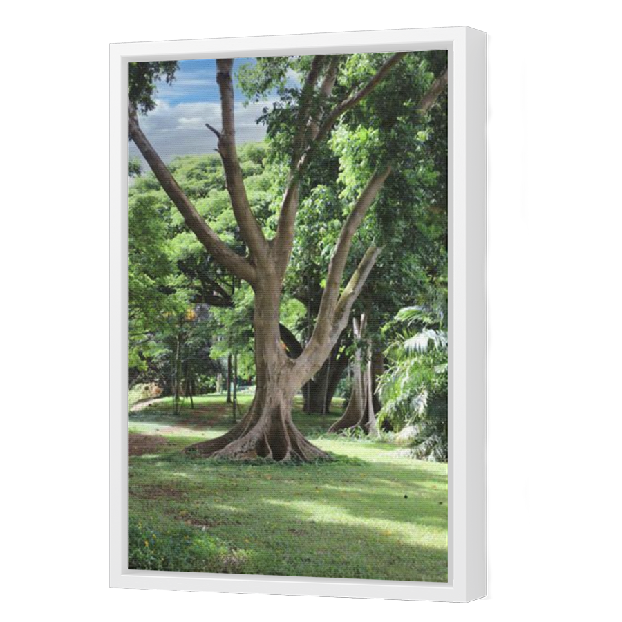 Thumbnail for Canvas - White Floating Frame