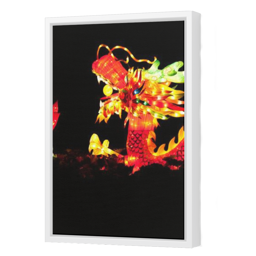 Thumbnail for Canvas - White Floating Frame