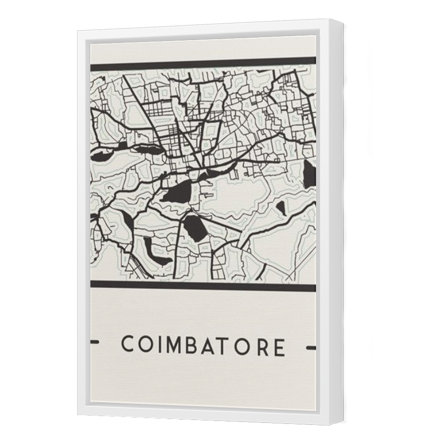 Thumbnail for Canvas - White Floating Frame