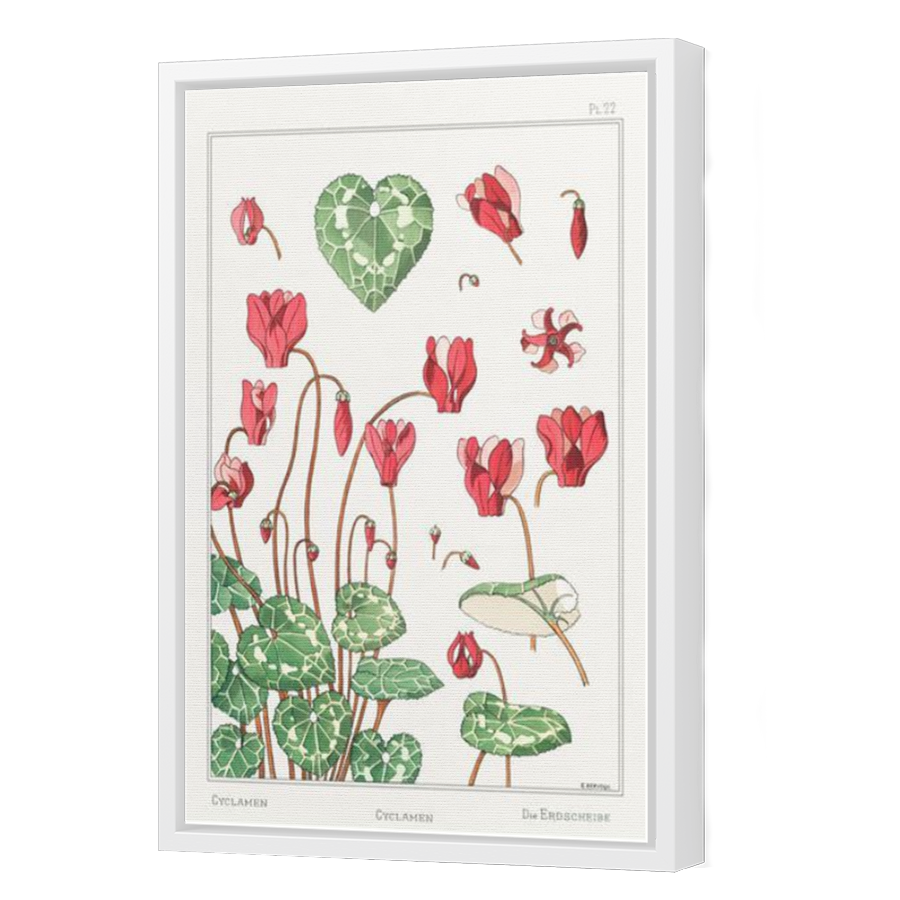 Thumbnail for Canvas - White Floating Frame