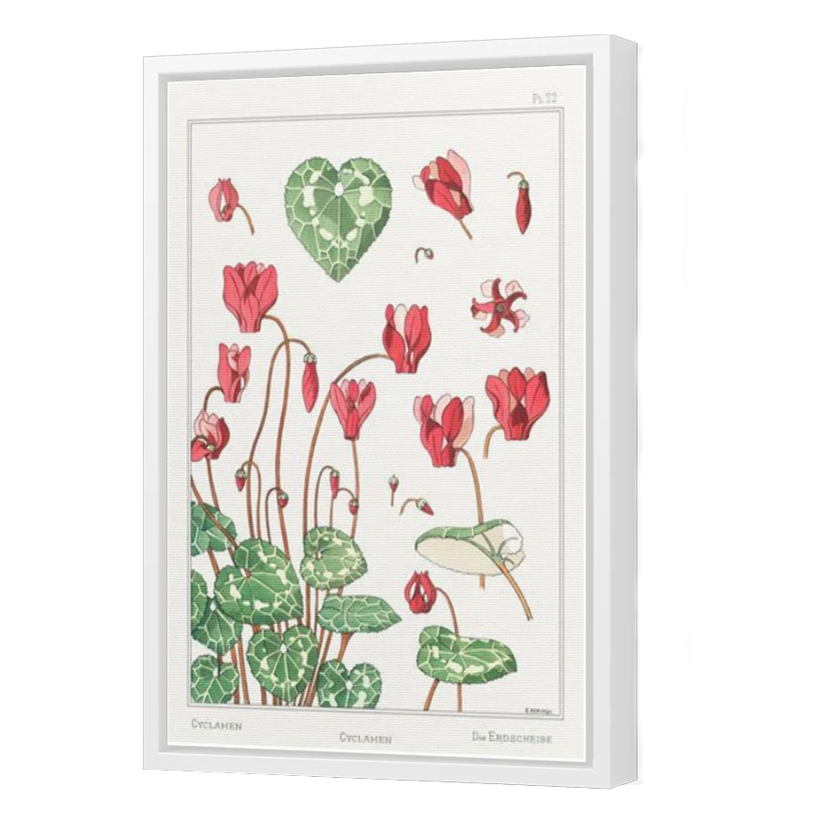 Thumbnail for Canvas - White Floating Frame