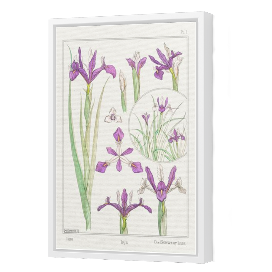 Thumbnail for Canvas - White Floating Frame